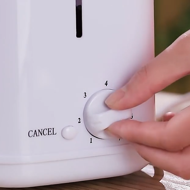 Mini 2-Slice Pop-Up Toaster