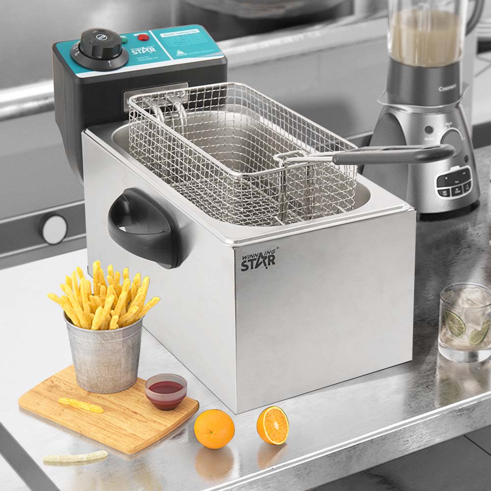 Electric Deep Fryer