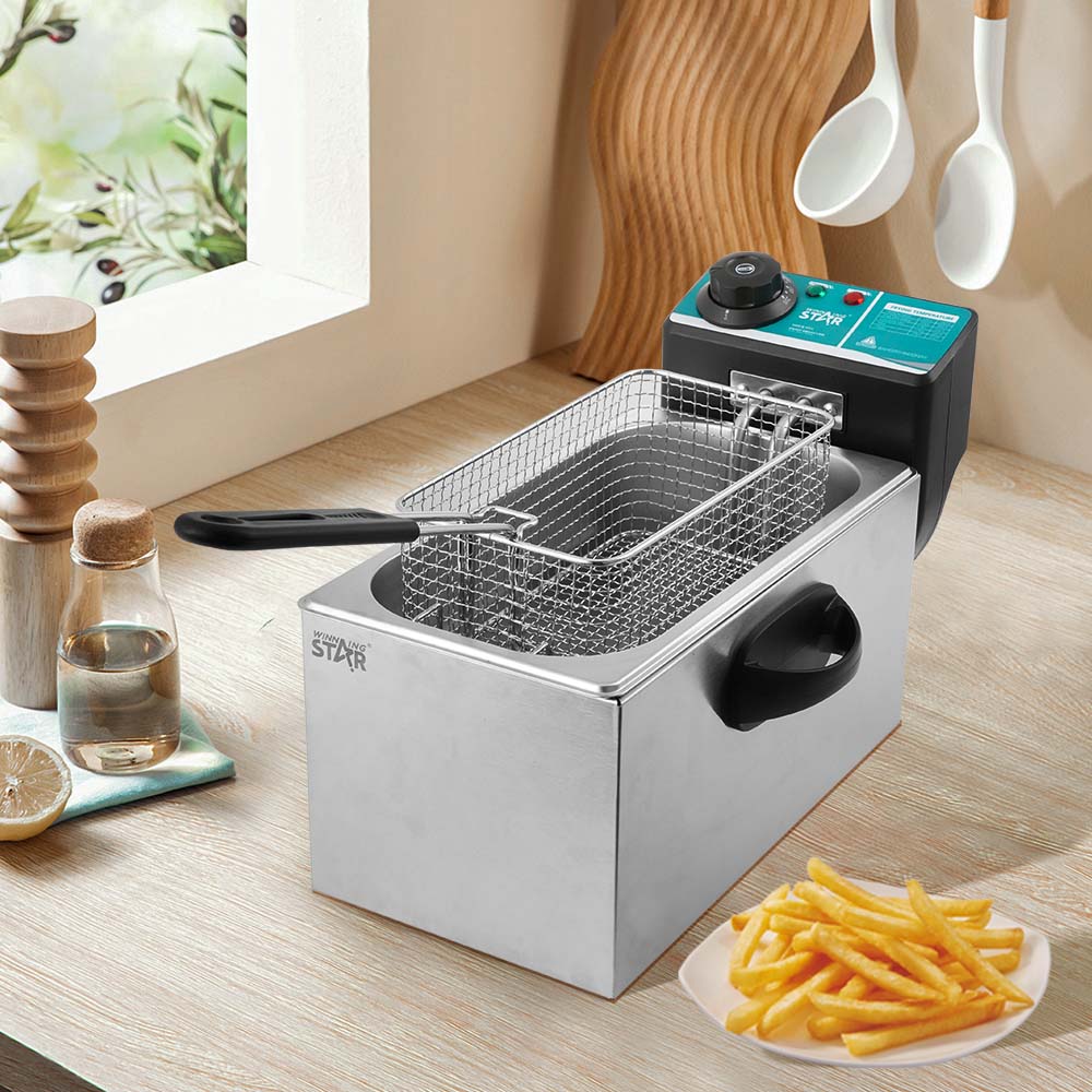 Electric Deep Fryer