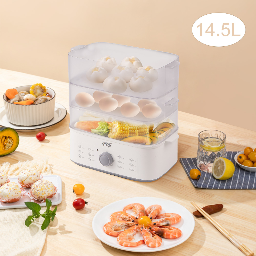 Electric Steam Cooker Food Steamer