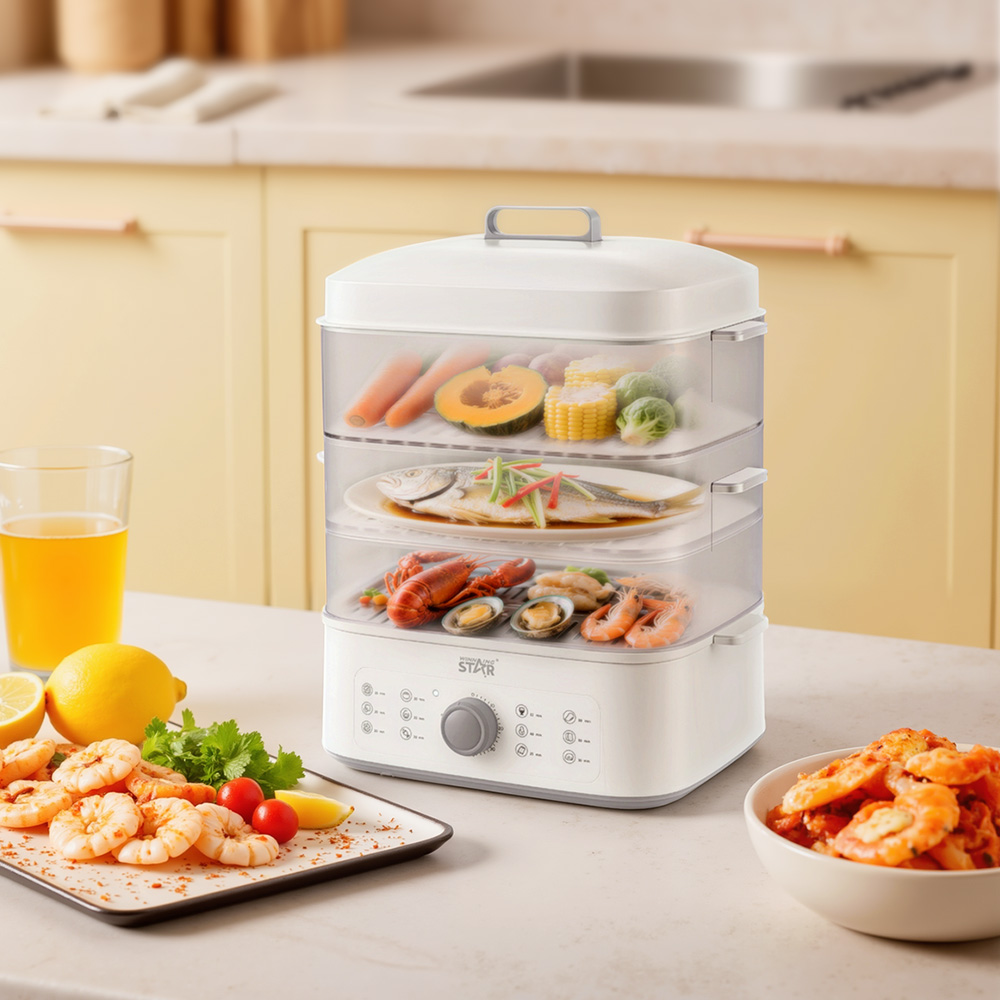 Electric Steam Cooker Food Steamer