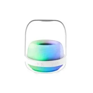COLOR CHANGING BLUETOOTH SPEAKER – BURUDANI NA TAA ZA RANGI KILA MAHALI! 🎶✨